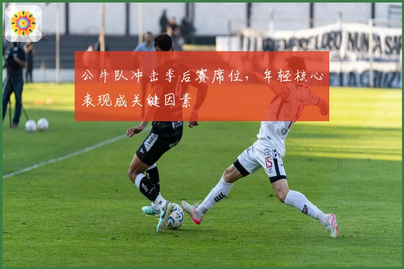 公牛队冲击季后赛席位，年轻核心表现成关键因素